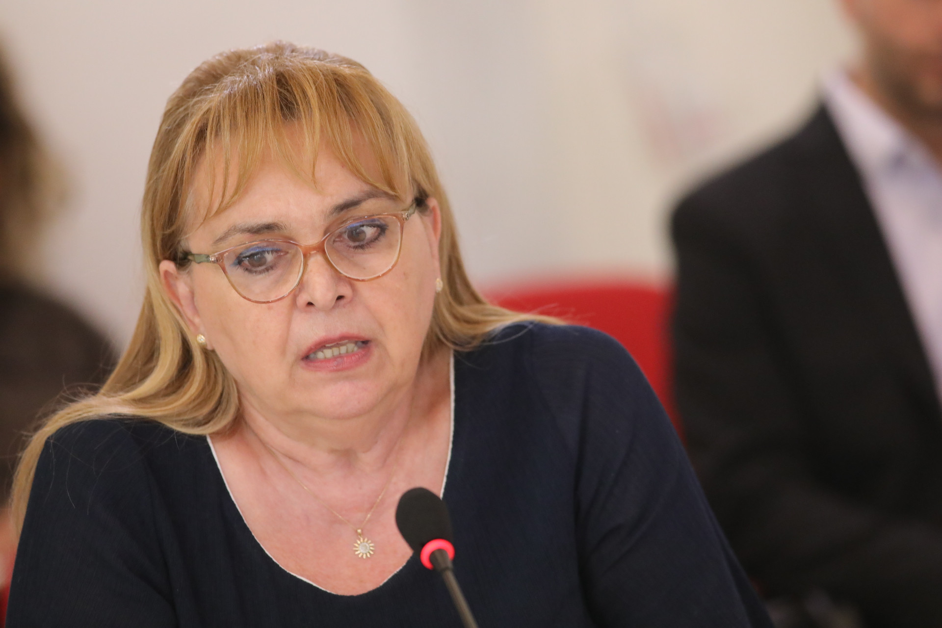 Foto: Press centar UNS